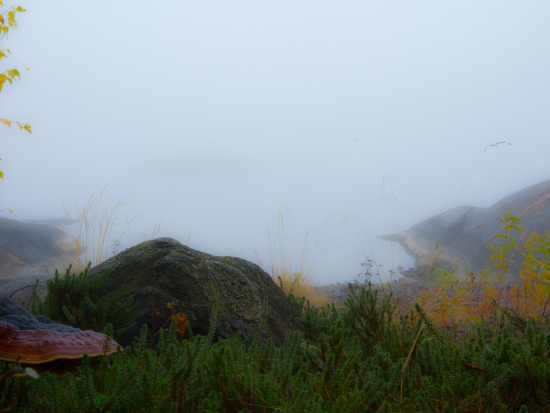 Höstdimma. Syysusva.