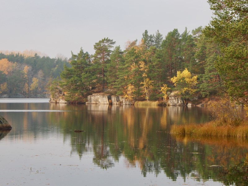 Masugnsträsket på hösten. Masuuninjävi syksyllä.