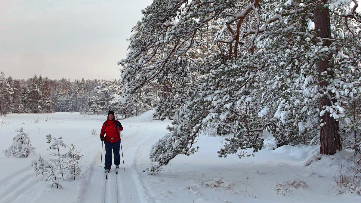 talvireitti hiihto kunttu
