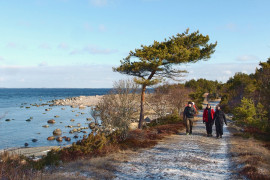 &Ouml;r&ouml; 6 tums rundan 4,7 km