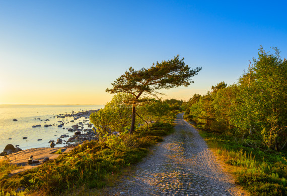 Sk&auml;rg&aring;rdshavets national park