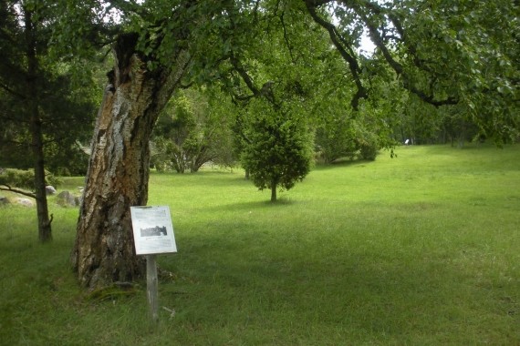 H&ouml;gland, naturstig