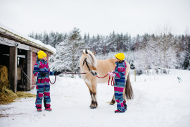 Vinter&auml;lskarens &ouml;ar