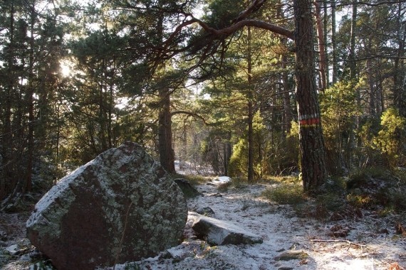 Dammens naturstig, Dalsbruk 0,7 km
