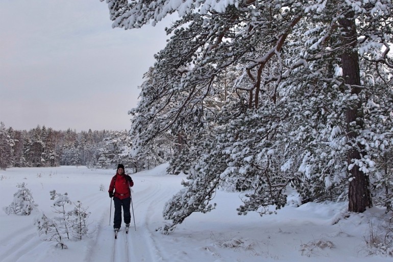 Skida p&aring; Stora Masugnstr&auml;sket