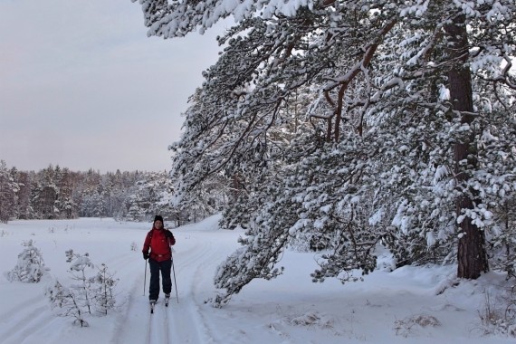 Skida p&aring; Stora Masugnstr&auml;sket