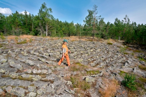 Jarlsg&aring;rds jungfrudans