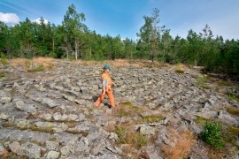 Jarlsg&aring;rds jungfrudans