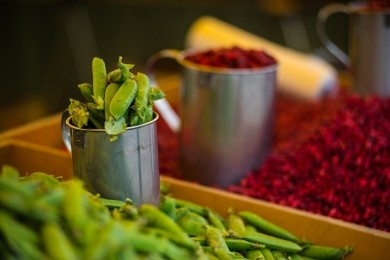 Barre-Cygnel Petra &amp; Cygnel Peik