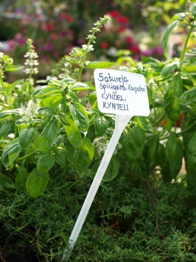 Blombutik &amp; tr&auml;dg&aring;rd J&auml;rvinen