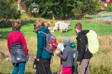 Upplevelserutter i sk&auml;rg&aring;rden!