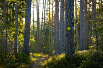 Uppt&auml;ck Kimito&ouml;ns naturstigar
