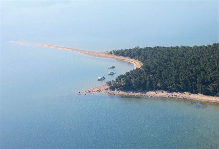 Havs&ouml;rnarnas rutt