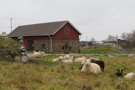 V&auml;n&ouml; kulturhus