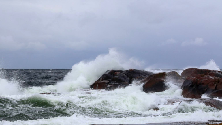 Superlativens sk&auml;rg&aring;rd