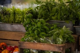 Charlottas tr&auml;dg&aring;rd